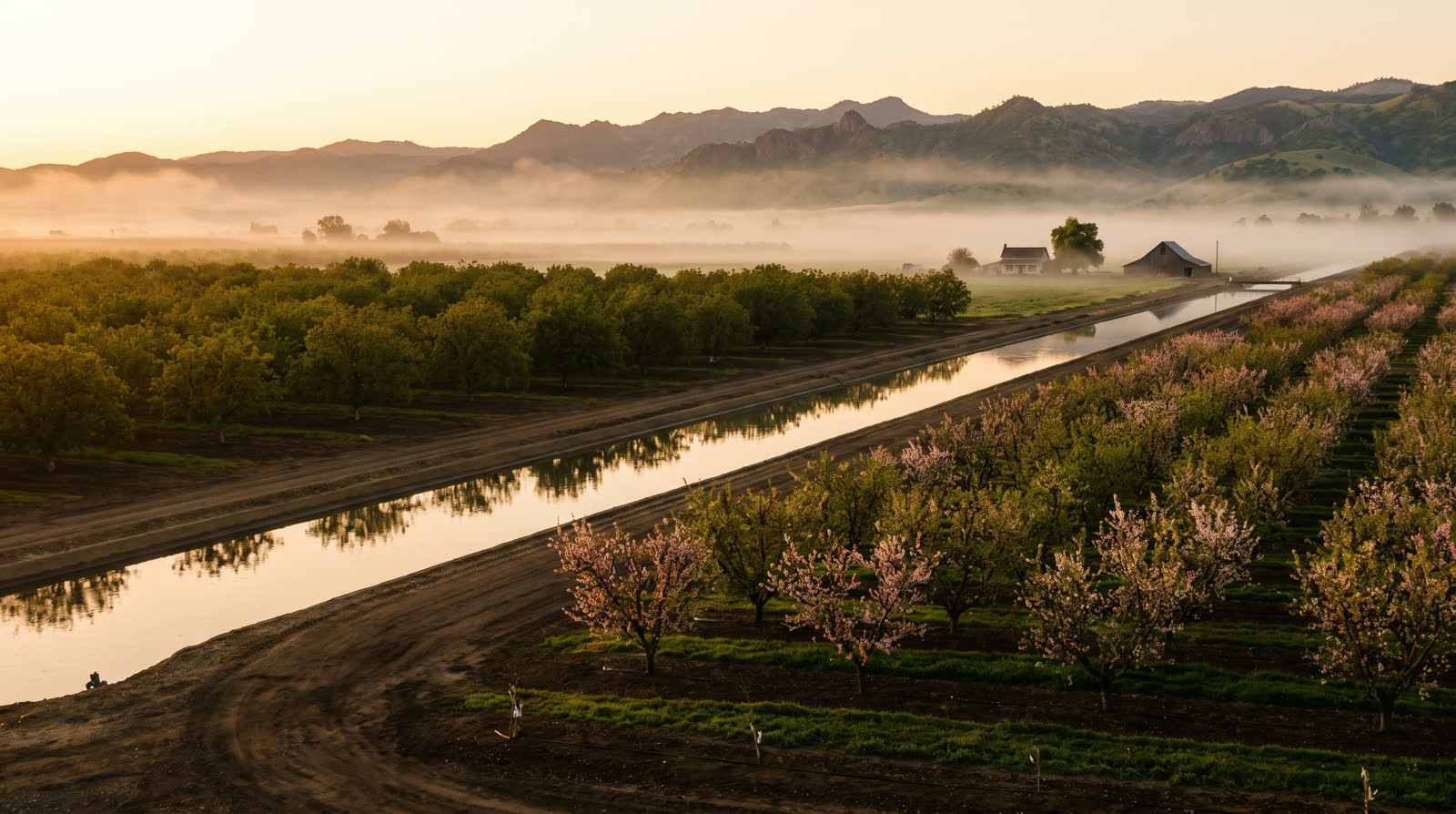 Orchards and farmland in the Yuba-Sutter valley at sunrise
